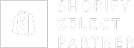 shopify partner